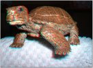 m_tortoise